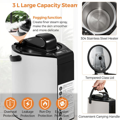 HOMASIS Tragbare Dampfsauna mit 3L Dampfgenerator – Grau